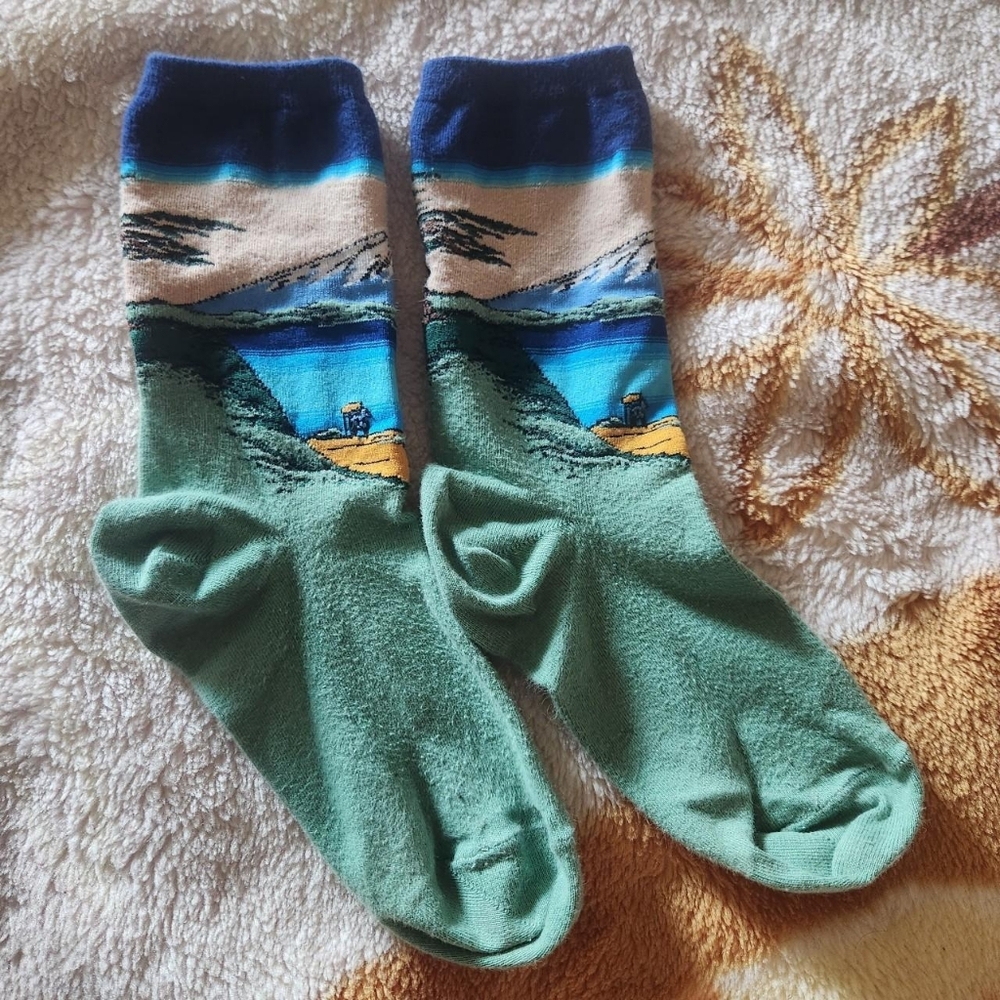 hokusai's "mt fuji over a lake" socks from hot sox